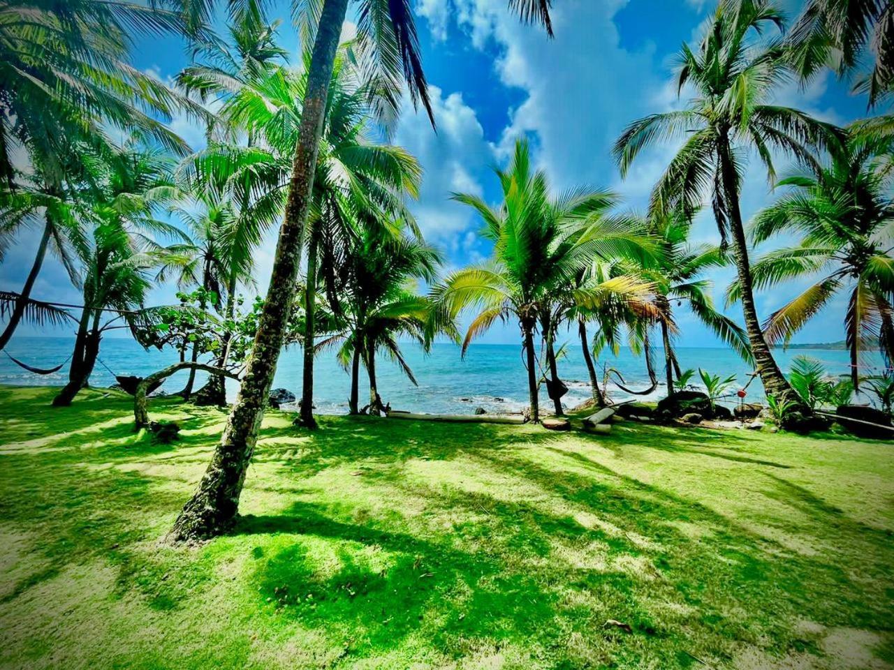 Guesthouse Island Escape South End المظهر الخارجي الصورة