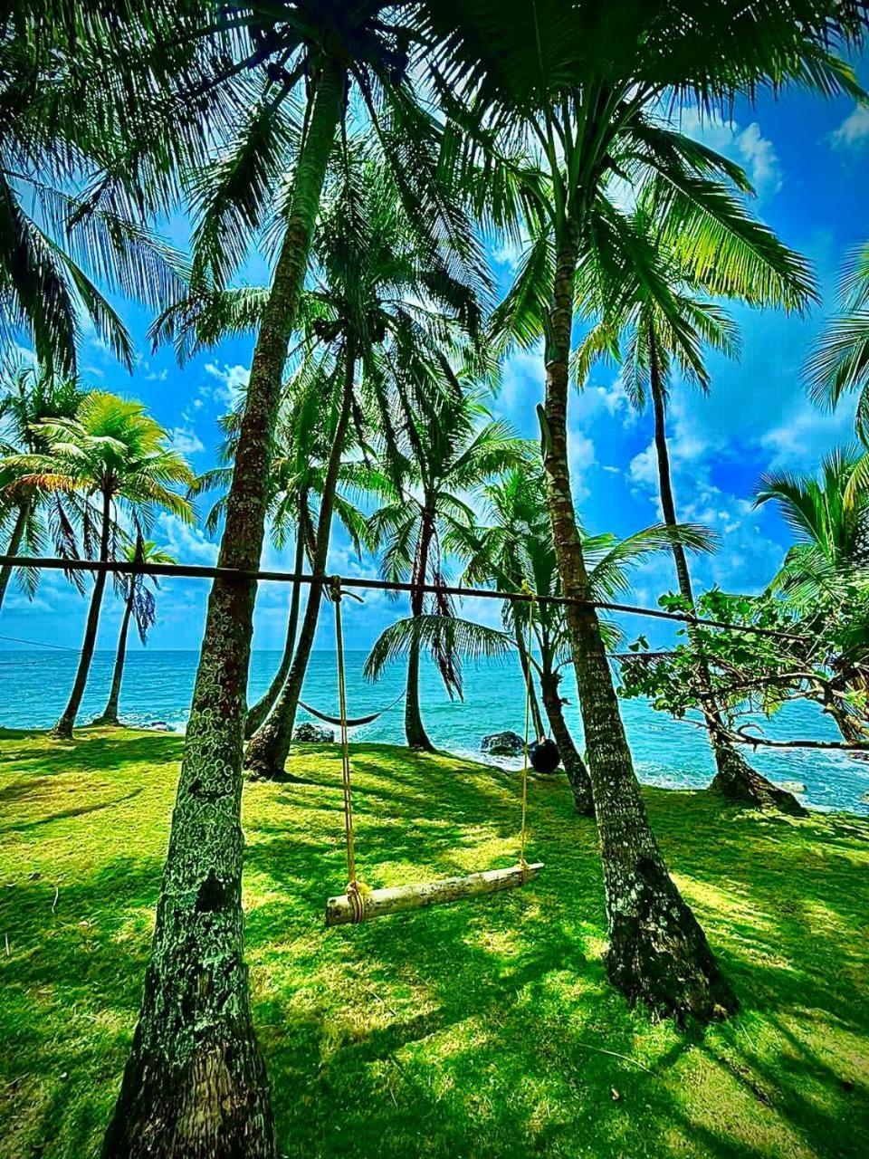 Guesthouse Island Escape South End المظهر الخارجي الصورة