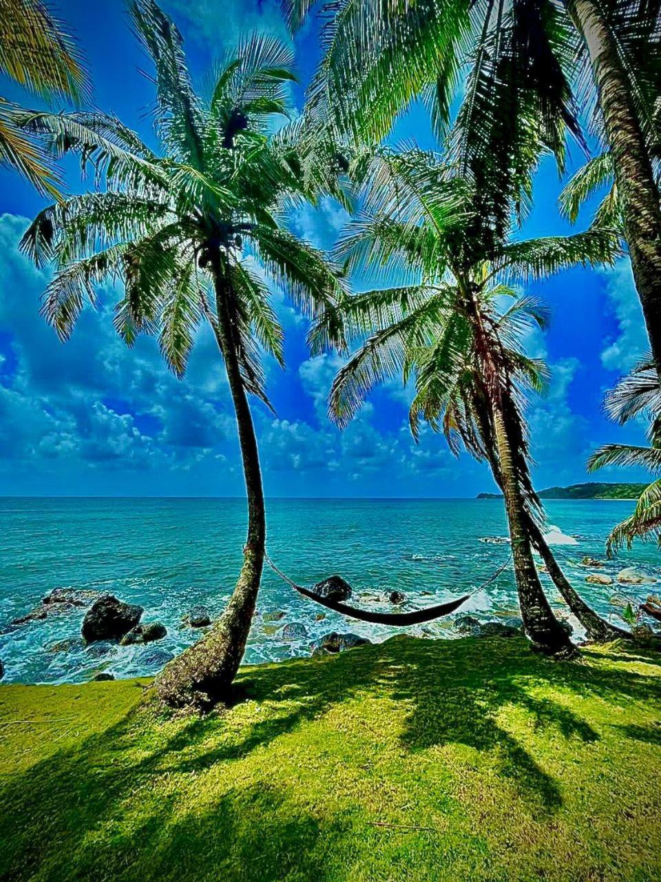 Guesthouse Island Escape South End المظهر الخارجي الصورة