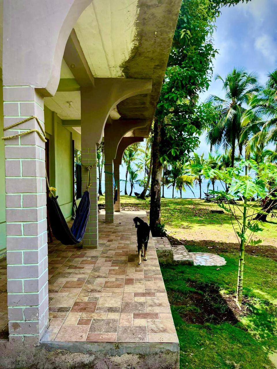 Guesthouse Island Escape South End المظهر الخارجي الصورة