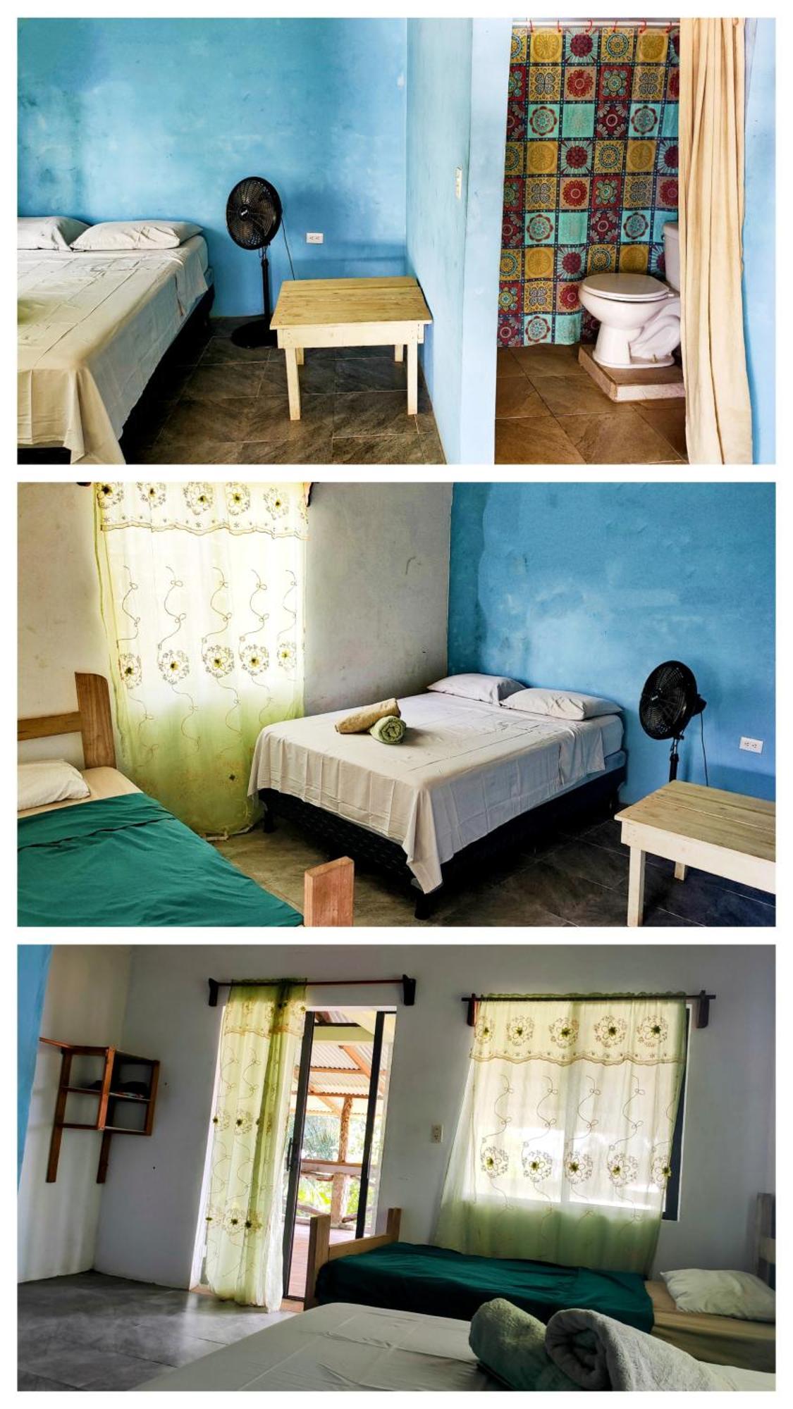 Guesthouse Island Escape South End المظهر الخارجي الصورة